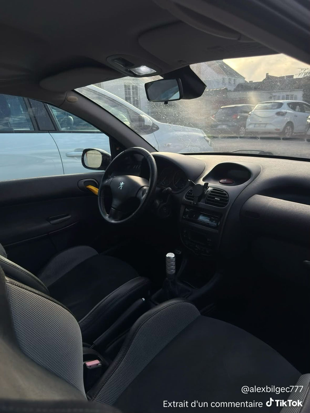Poignées sangle PEUGEOT 206 (PAIRE)