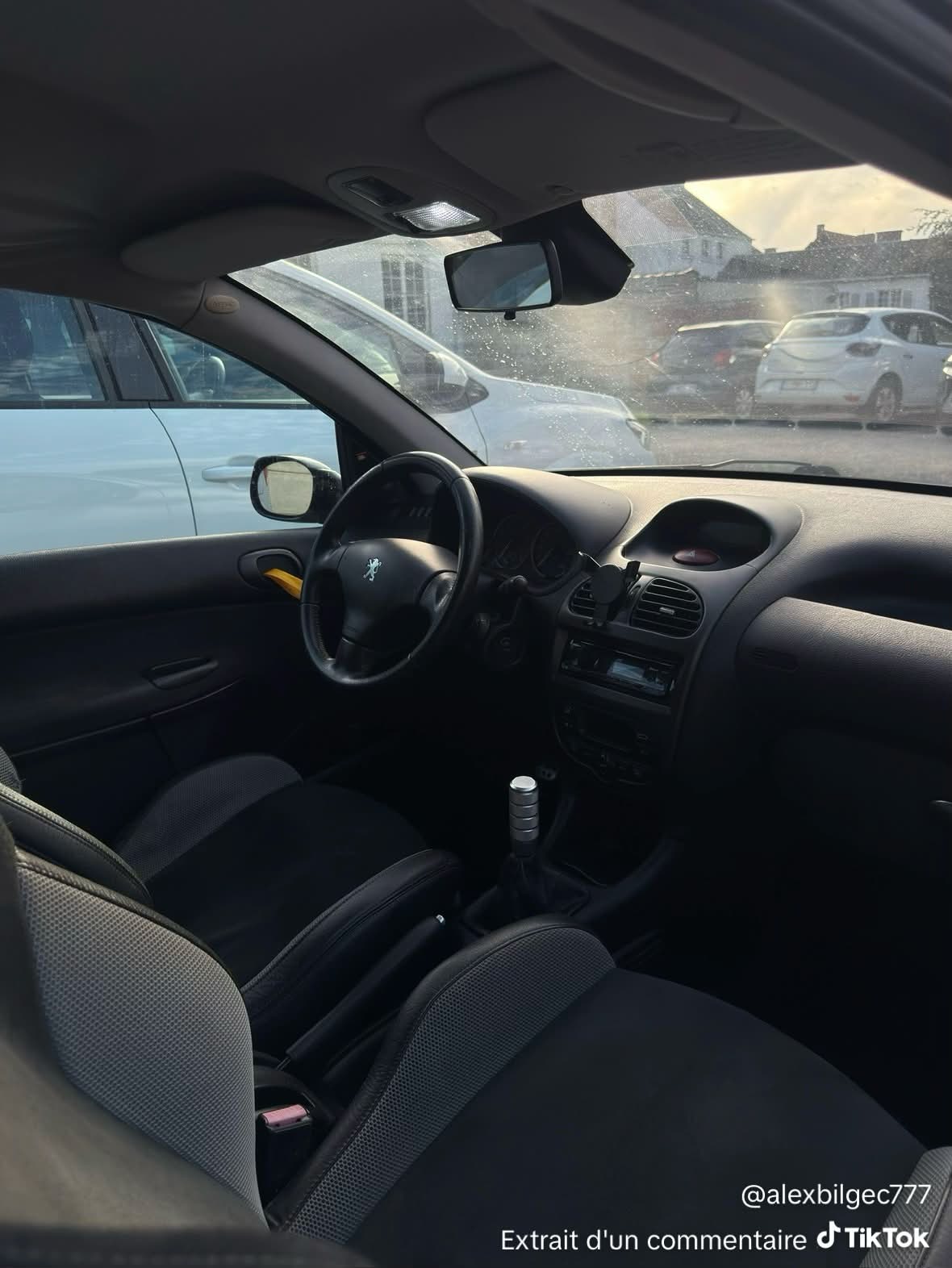 Poignées sangle PEUGEOT 206 (PAIRE)
